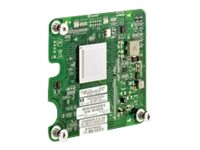 QLogic QMH2562 - värdbussadapter - Mezzanine Card - 8Gb Fibre Channel x 2 B9F53A