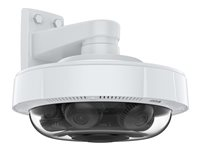 AXIS P37 Series P3738-PLE - nätverkskamera med panoramavy - kupol - TAA-kompatibel 02635-001