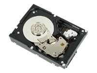 Dell - hårddisk - 2 TB - SAS 342-0451