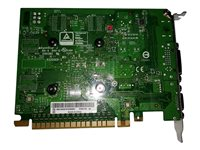 NVIDIA GeForce GTX 750 Ti - grafikkort - GF GTX 750 Ti - 2 GB 00KT353