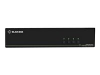 Black Box SECURE NIAP - Quad-Head - omkopplare för tangentbord/video/mus/ljud - 4 portar - TAA-kompatibel SS4P-QH-DP-UCAC