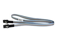 HPE Fanout Cable - extern SAS-kabel - 4 m P35175-B21