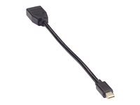 Black Box Video Adapter Dongle - DisplayPort-adapter - 20.3 cm VA-MDP12-DP12