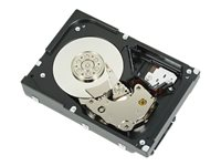 Dell Nearline - hårddisk - 2 TB - SAS 6Gb/s 342-5358