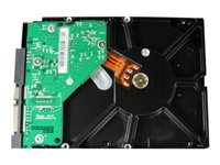 Dell - hårddisk - 640 GB - SATA 3Gb/s C118D