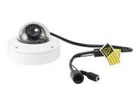 LevelOne FCS-3302 - nätverksövervakningskamera - kupol FCS-3302