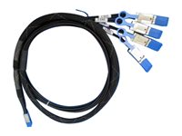 HPE extern SAS-kabel - 2 m 814228-001