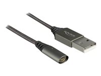 Delock USB-kabel - 1 m 85725