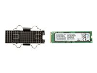 HP Z Turbo Drive - SSD - 1 TB 6EU84AA