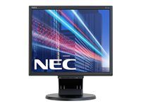 NEC MultiSync E172M - LED-skärm - 17" 60005020