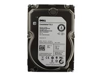 Seagate - hårddisk - 3 TB - SAS 12Gb/s 55H49