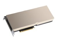 NVIDIA H100 - GPU-beräkningsprocessor - NVIDIA H100 Tensor Core - 80 GB R9S41C