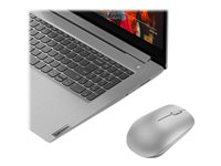 Lenovo 530 Wireless Mouse - mus - 2.4 GHz - platinagrå GY50Z18984