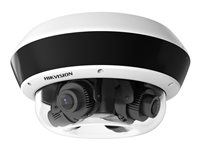 Hikvision EXIR Flexible PanoVu Network Camera DS-2CD6D24FWD-IZHS - nätverksövervakning/panoramisk kamera - kupol DS-2CD6D24FWD-IZHS