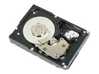 Dell Nearline - hårddisk - 2 TB - SAS 342-1909