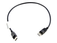 Lenovo DisplayPort-kabel - 0.5 m 0B47396
