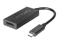 Lenovo - USB-/DisplayPort-adapter - 24 pin USB-C till DisplayPort 4X90Q93303