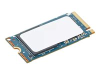 Lenovo - SSD - 1 TB - PCIe 4.0 x4 4XB1K26775