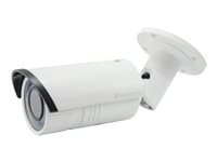 LevelOne FCS-5060 - nätverksövervakningskamera FCS-5060