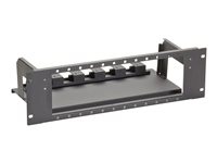 Black Box Universal Fiber Patch Panel 12 Vertical LGX Slots - hylla för rack - 3U - TAA-kompatibel FOPP50-12V-3U