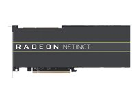 AMD Radeon Instinct MI50 (32GB) - grafikkort - Radeon Vega 20 - 32 GB 100-506194
