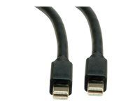 Roline - DisplayPort-kabel - Mini DisplayPort till Mini DisplayPort - 1 m 11.04.5817