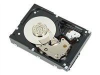 Dell Nearline - hårddisk - 2 TB - SAS 342-2105