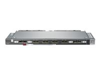 HPE Virtual Connect SE 16Gb Module - switch - 24 portar - Administrerad - insticksmodul P08477-B21