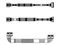 Lenovo 6 x SAS/SATA 4 x AnyBay 2.5" Backplane NVMe - sats med lagringskablar 4X97A59785