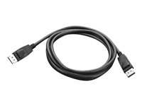Lenovo DisplayPort-kabel - 1.8 m 0A36537