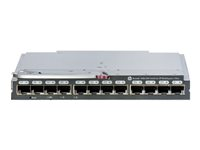 Brocade 16Gb/28 SAN Switch for HP BladeSystem c-Class - switch - 28 portar - Administrerad - insticksmodul C8S46B
