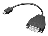 Lenovo DisplayPort-adapter - 20 cm 03X6574