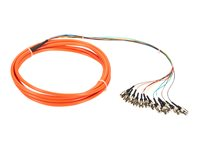 Black Box pigtail - 3 m - orange FOPT50M1-ST-12OR-3