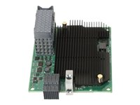 Lenovo Flex System FC5054 4-port 16Gb FC Adapter - nätverksadapter - 2 x PCIe 3.0 x8 - 16Gb Fibre Channel x 4 95Y2391