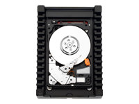 WD VelociRaptor WD2500BHTZ - hårddisk - 250 GB - SATA 6Gb/s WD2500BHTZ