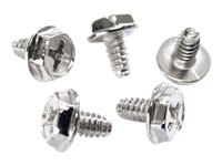 StarTech.com Replacement PC Mounting Screws #6-32 x 1/4in Long Standoff - Screw kit - silver - 0.2 in (pack of 50) - SCREW6_32 - skruvsats SCREW6_32