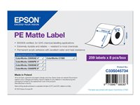 Epson - matrisskurna etiketter - matt - 259 etikett (er) - 210 x 105 mm C33S045734