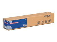 Epson Premium Glossy Photo Paper (170) - fotopapper - blank - 1 rulle (rullar) - Rulle (41,9 cm x 30,5 cm) C13S042076