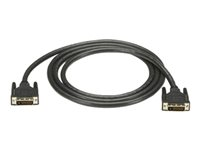 Black Box DVI-kabel - 10.7 m EVNDVI02-0035