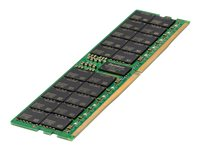 HPE SmartMemory - DDR5 - modul - 64 GB - DIMM 288-pin - 4800 MHz / PC5-38400 - registrerad P43331-B21