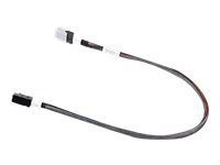 Fujitsu intern SAS-kabel - 52.5 cm T26139-Y4040-V3