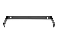 Tripp Lite 1U Hinged Wallmount Patch Panel Mounting Bracket - monteringsfäste för manöverpanel - 1U - 19" N060-001