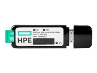 HPE 32GB microSD RAID 1 USB Boot Drive blixt (start) P21868-B21