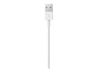 Apple Lightning-kabel - Lightning / USB - 1 m MXLY2ZM/A