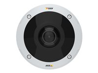 AXIS M3058-PLVE Network Camera - nätverksövervakningskamera - kupol 01178-001