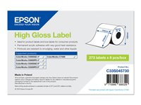 Epson - matrisskurna etiketter - högblank - 273 etikett (er) - 105 x 210 mm C33S045730