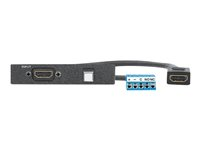 Extron Architectural Adapter Plate One HDMI Female to Female on 10" Pigtail, One Momentary Switch to Captive Screw on 4" Pigtail - modulkontaktplatta med insnäppsfästen 70-1091-02