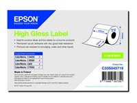 Epson - matrisskurna etiketter - högblank - 800 etikett (er) - 102 x 152 mm C33S045719