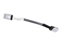 Fujitsu intern SAS-kabel - 14 cm A3C40160723