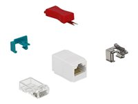 Delock Secure Clip Starter Set - säkerhetslåsset för LAN-kabel 86406